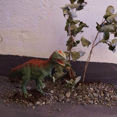 Installasjonskurs (1.år)