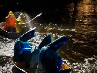 PERFORMANCE ELVELANGS: FOTO+VIDEO