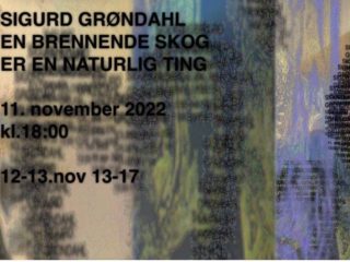 Utstilling: Sigurd Grøndahl - 'En Brennende Skog er en Naturlig Ting'