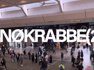 VIDEO: SNØKRABBE(2)