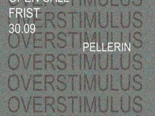 GALLERI PELLERIN: OPEN CALL