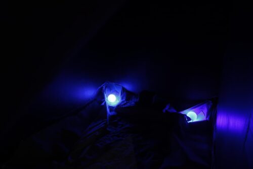 DOKU: JULEUTSTILLINGEN '21