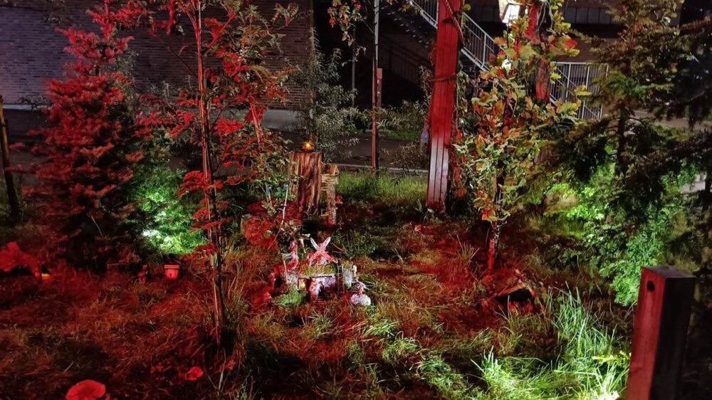 DOKU: Oslo Kulturnatt / Tøyenskogen